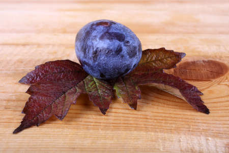 Black plums on table. Autumn harvestの写真素材