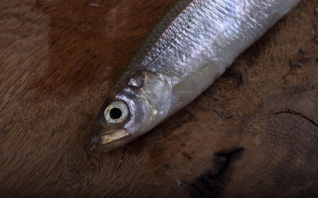 Smelt fish on cutting board