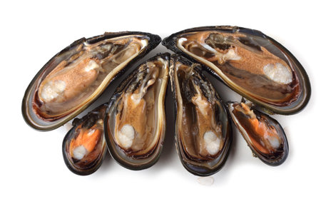 Opened musselsの写真素材