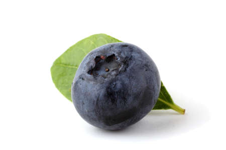 Blueberry and leafの写真素材