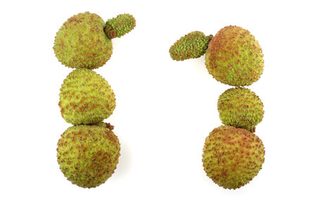 Funny people made of lychee fruits