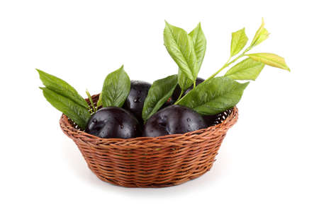 Plums and leaves on wicker plateの写真素材