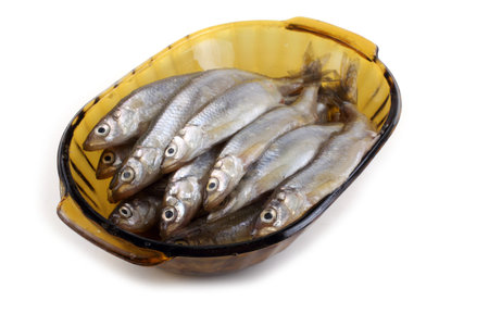 Smelt fishの写真素材