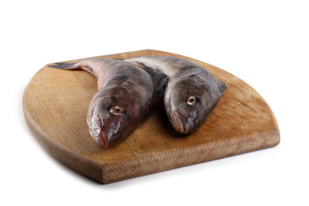 Sea bass isolated on whiteの写真素材