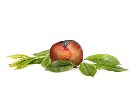 Half of black plumの写真素材