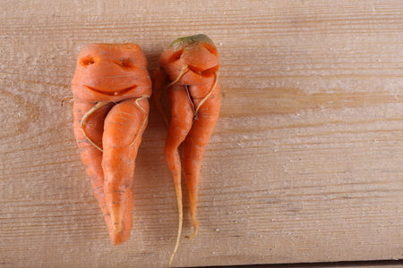 Funny carrots. Humorの写真素材