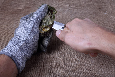 Oyster opening. Hands with oyster knife.. Fresh sea foodの写真素材