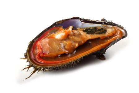 Opened mussels
