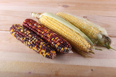 Corn and unusual multicolor corn
