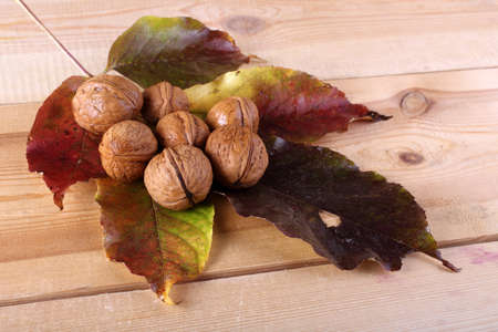 Walnuts on table. Autumn harvestの写真素材