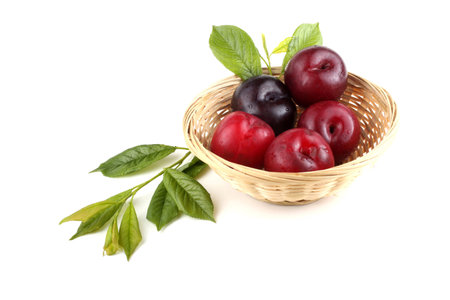 Plums and leavesの写真素材