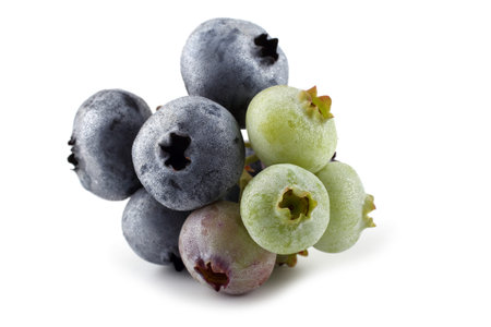 Bunch of blueberries isolated on whiteの写真素材
