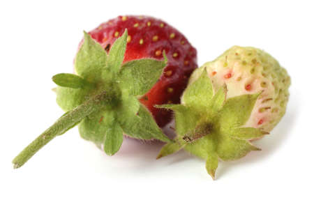 Ripe and unripe strawberriesの写真素材