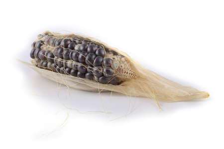 Black corn isolated on whiteの写真素材