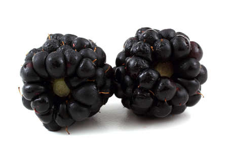 Blackberries isolated on whiteの写真素材