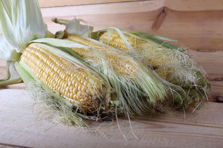Corn on tableの写真素材