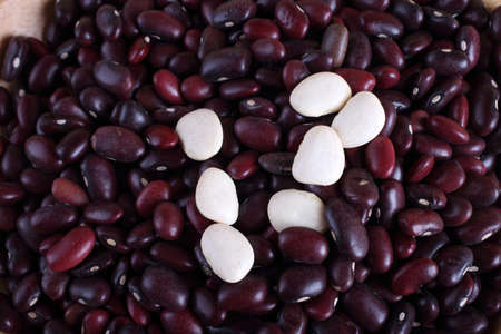 Kidney beans backgroundの写真素材
