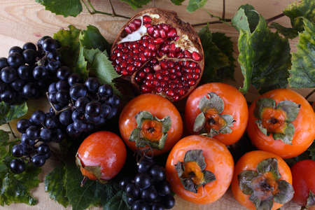 Persimmons, grape and pomegranateの写真素材