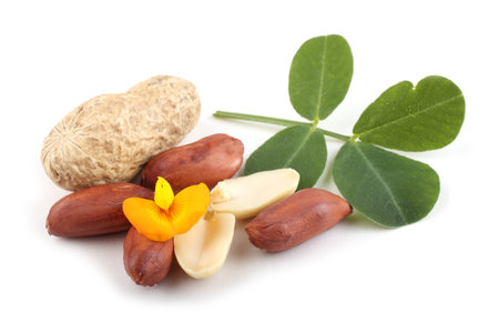 Peanut, leaves and flower