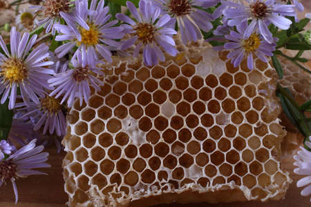 Honey and flowers on tableの写真素材