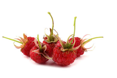 Raspberries isolated on whiteの写真素材