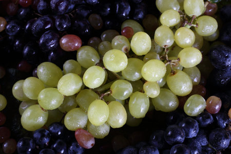 Grape background