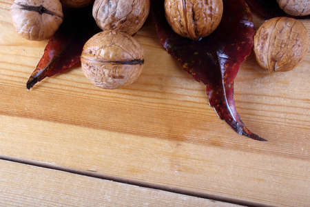 Walnuts on tableの写真素材