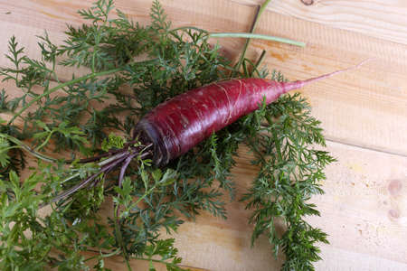 Red carrot on tableの写真素材