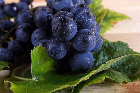 Black wine grapeの写真素材