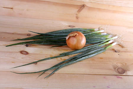 Onion on tableの写真素材