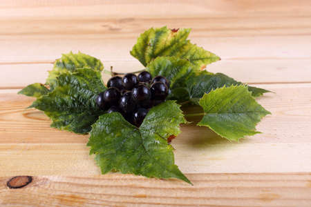 Grape on tableの写真素材