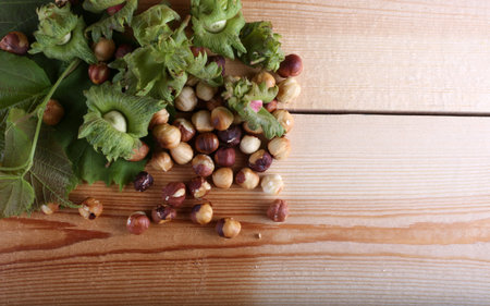 Hazelnuts on tableの写真素材