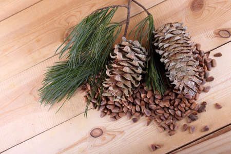 Cedar pine nuts. Pinus koraiensisの写真素材