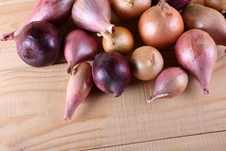 Onion on tableの写真素材