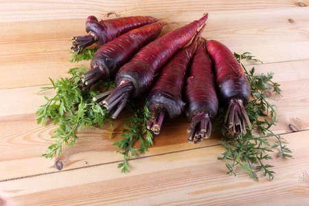 Red carrots on leavesの写真素材