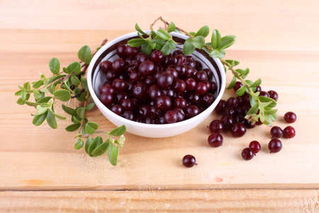 Lingonberry on tableの写真素材