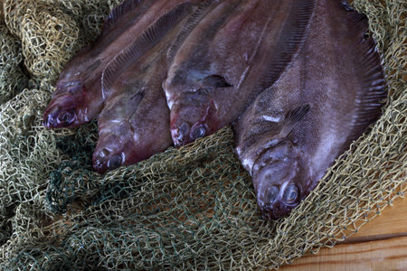 Korean flounders on net