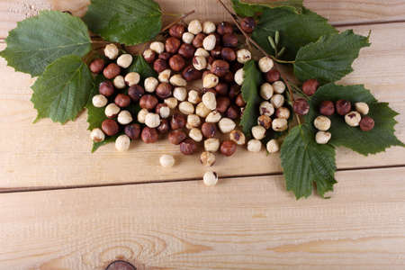 Hazelnuts and leaves on tableの写真素材