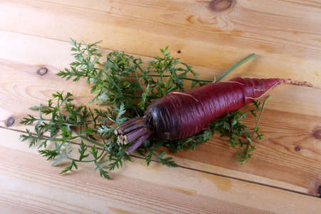 Fresh organic foodの写真素材