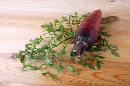 Fresh organic foodの写真素材