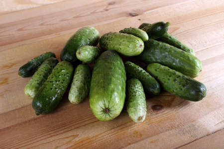 Cucumbers on tableの写真素材