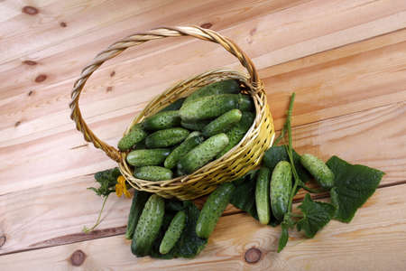 Cucumbers in basketの写真素材