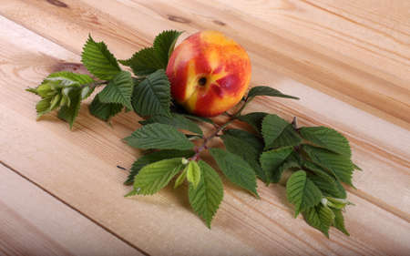 Nectarine on tableの写真素材