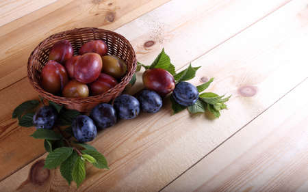 Plums on tableの写真素材