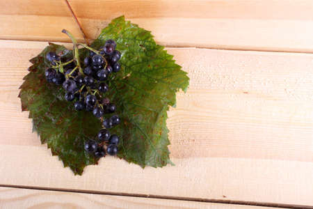 Black wine grapeの写真素材