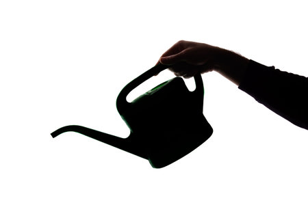 The hand of a young man holds a watering can - silhouette conceptの写真素材