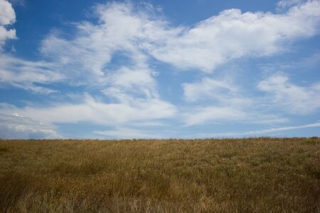 Landscape beautiful blue clouds grass on field and horizon - backgroundの写真素材