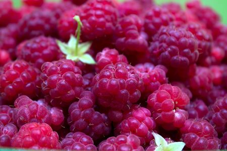 Ripe and beautiful raspberries - texture and backgroundの写真素材