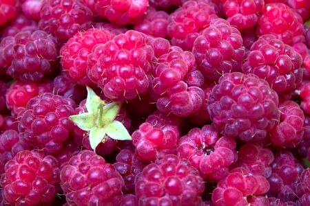 Ripe and beautiful raspberries - texture and backgroundの写真素材