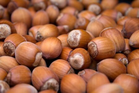 Many peeled hazel nuts - background and texture of natureの写真素材